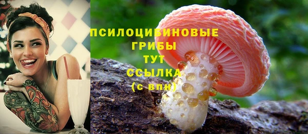 прущая мука Абаза